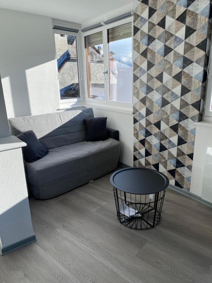 Residence Avec Un T3 Un T2 Et Un Studio En Centre Ville D 아르젤레가조스트 외부 사진