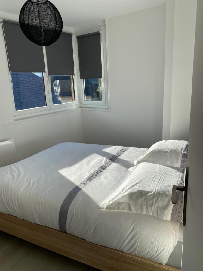 Residence Avec Un T3 Un T2 Et Un Studio En Centre Ville D 아르젤레가조스트 외부 사진